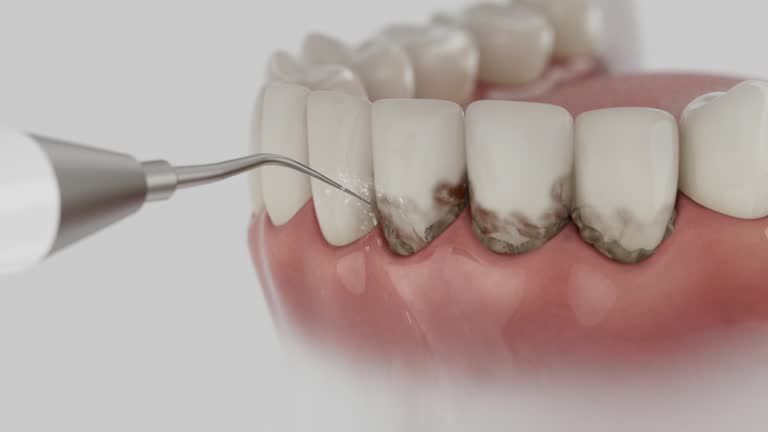 Reliable Dental contractor in Chestnut Ridge, NY by Dentist Open Now